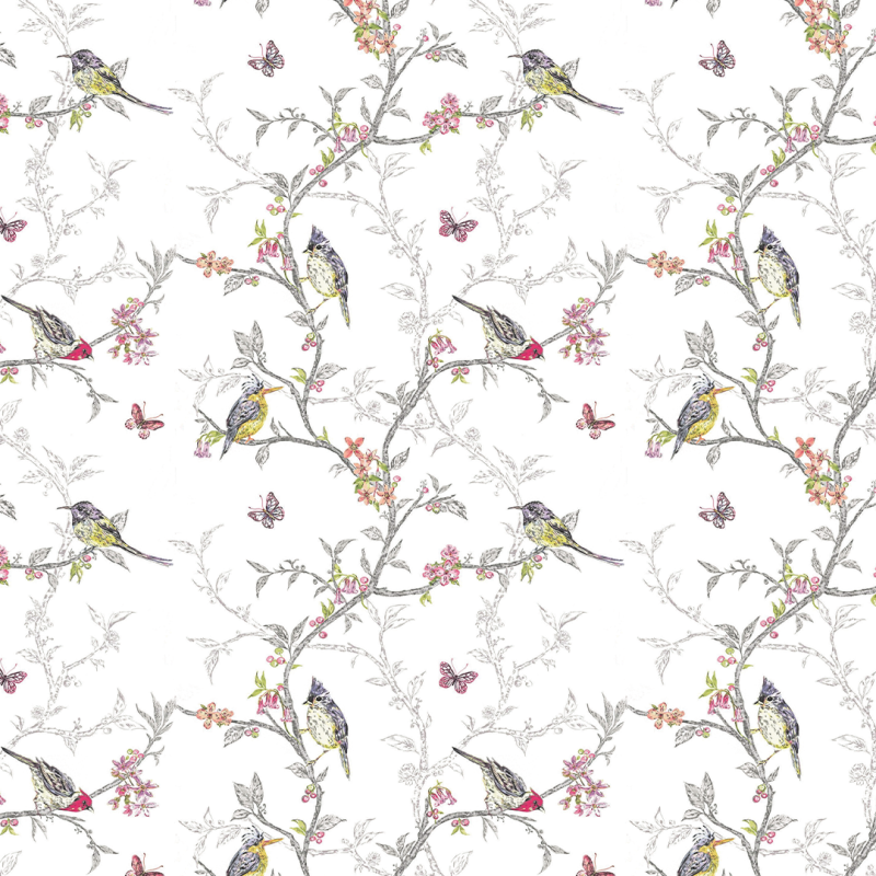 Papel pintado animal aves en ramas 60cm por 250cm