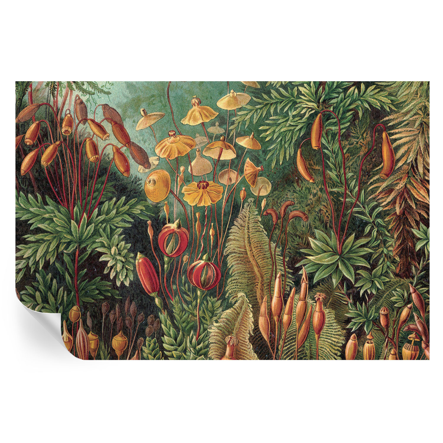 Murales autoadhesivos jardín exótico 104x152 tulup