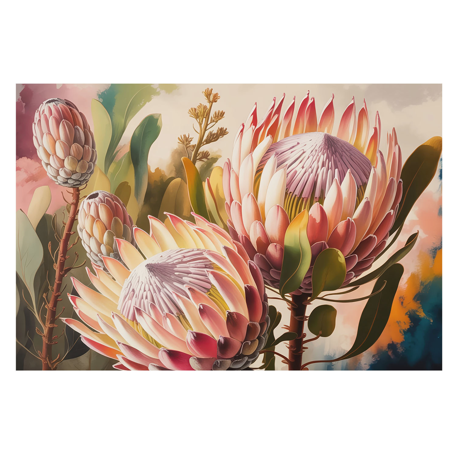 Papel pintado para paredes 312x219 flores de protea tulup