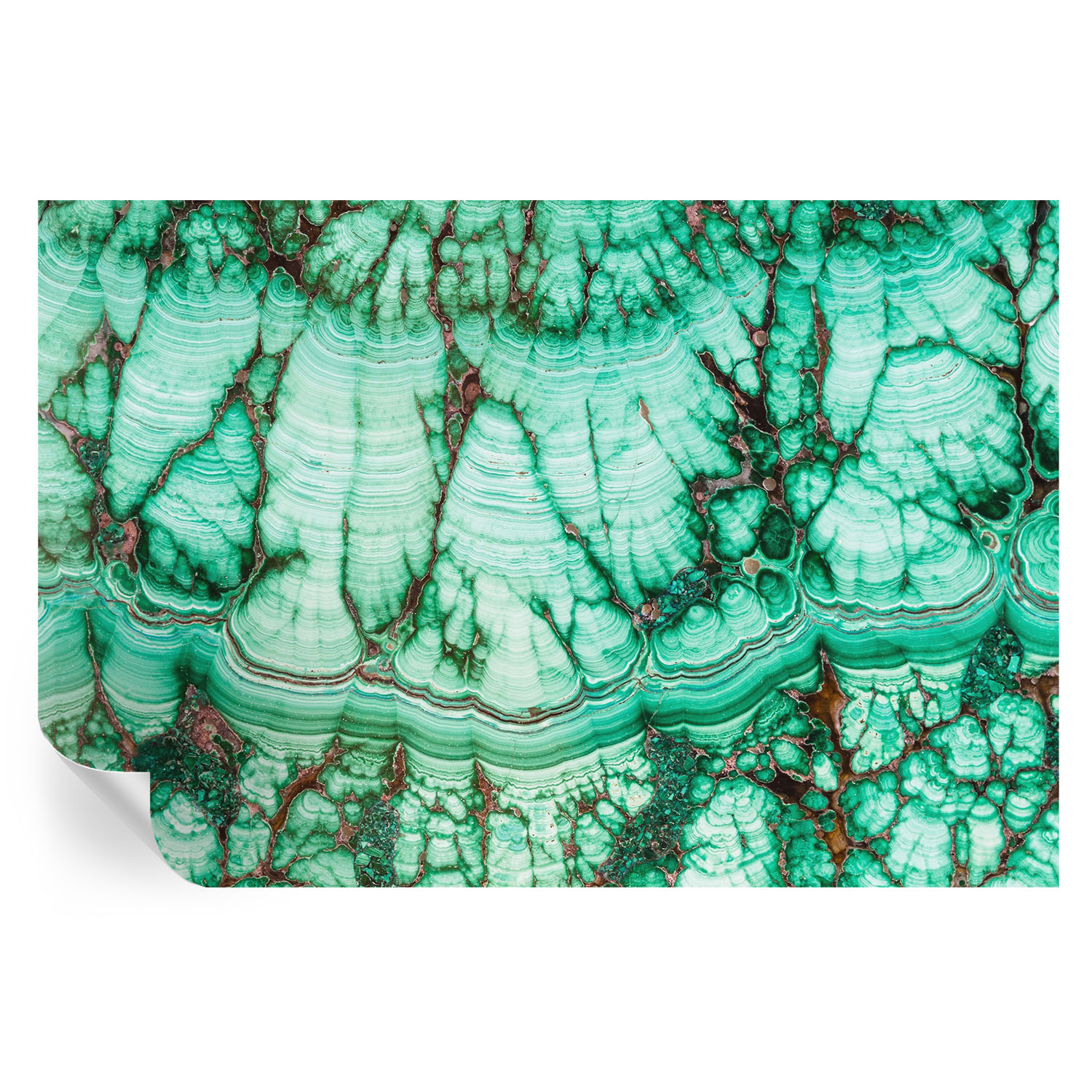 Papel pintado para paredes patrones verdes 104x152 tulup