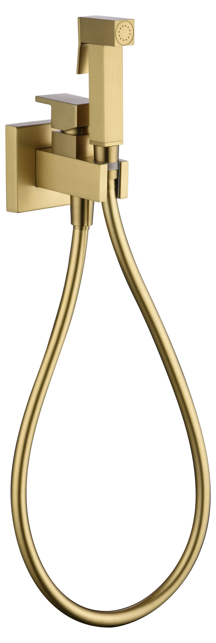 Grifo empotrado de bidé irlanda oro cepillado