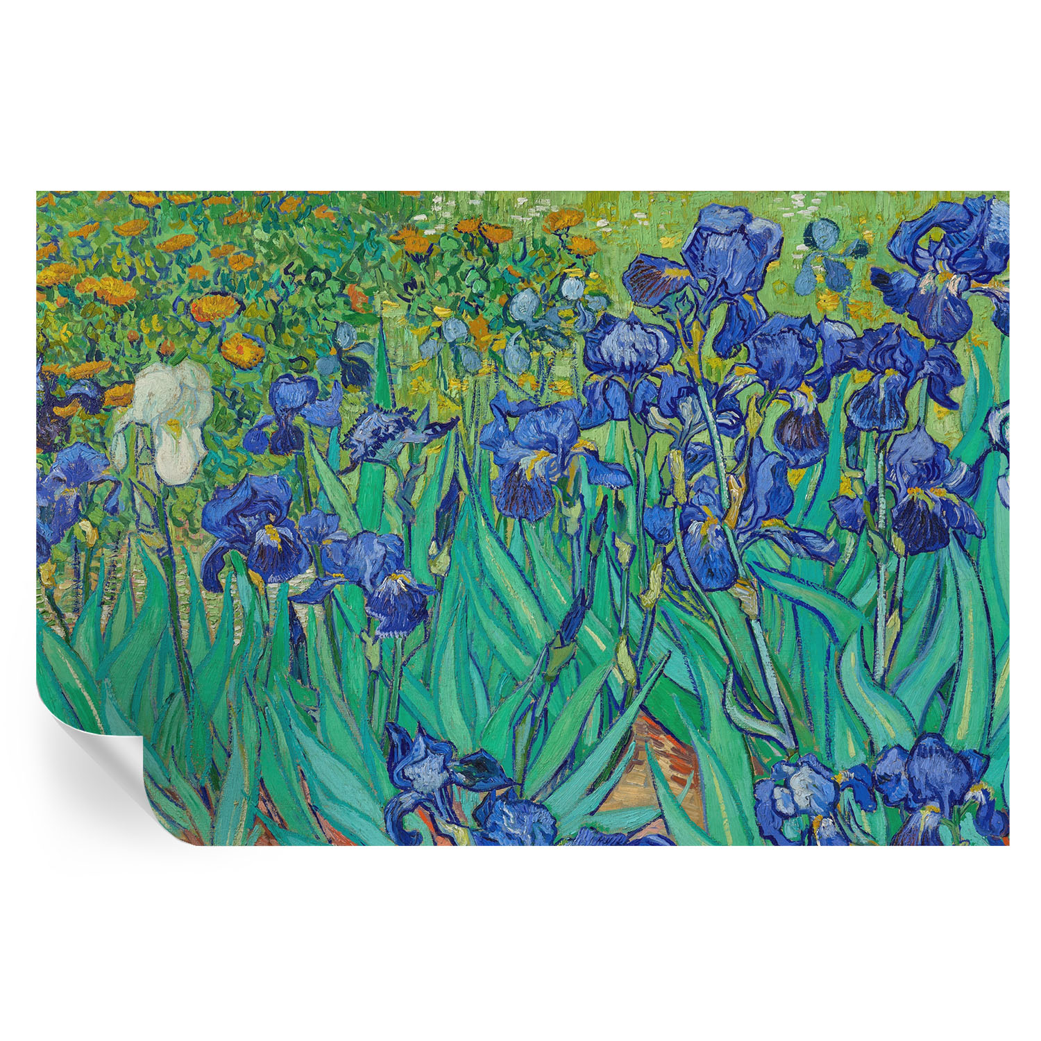 Papel pintado para paredes flores de jardín 104x152 tulup